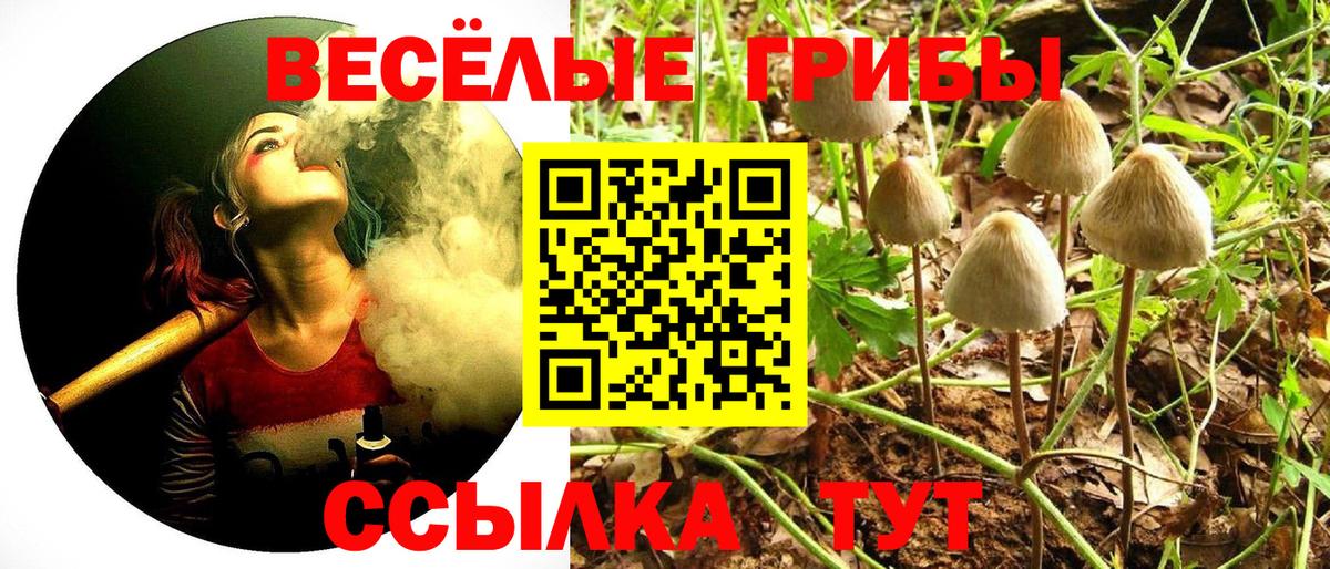 Клинцы  Псилоцибиновые грибы прущие грибы  Вход с VPN  Галлюциногенные грибы Magic Shrooms 
